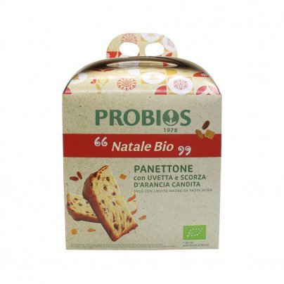 Panettone Bio Tradizionale