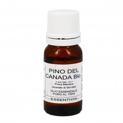 Pino del Canada Bio - Olio Essenziale Puro
