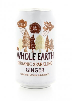 Sparkling Organic - Ginger Drink