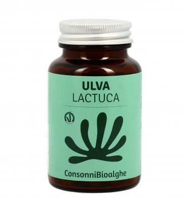 Alga Ulva Lactuca in Compresse
