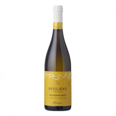 Vino Bianco Sauvignon Nepis Resiliens Piwi Bio