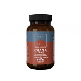 Chaga (500 mg) in Capsule