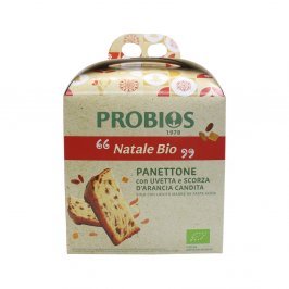 Panettone Bio Tradizionale