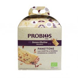 Panettone Bio Senza Glutine