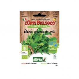 Semi di Rucola Coltivata da Orto Bio