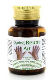 Spring Reum Art