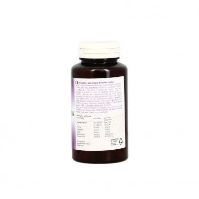 Acetil-L-Carnitina (Acetylcarnitine-L-Hcl)