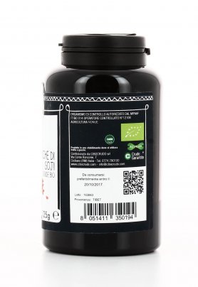 Bacche di Goji Crude Bio 125 g