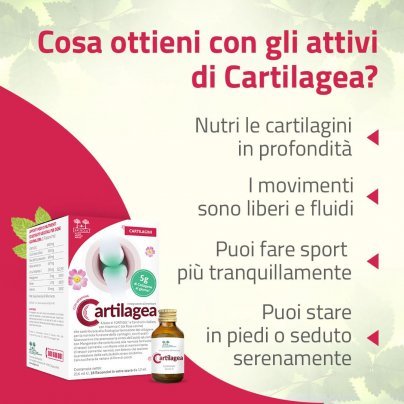 Cartilagea - Integratore per Cartilagini