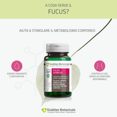 Fucus Giubileo - Integratore per Perdita di Peso