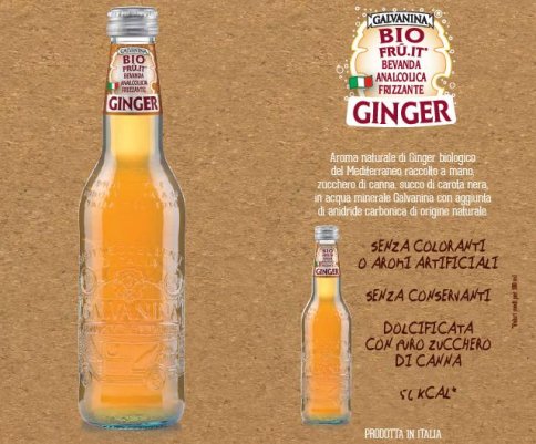 Ginger in Bottiglia