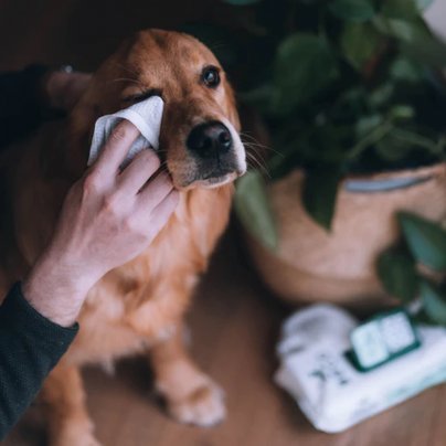 Salviette per Cani in Bambù al Cocco