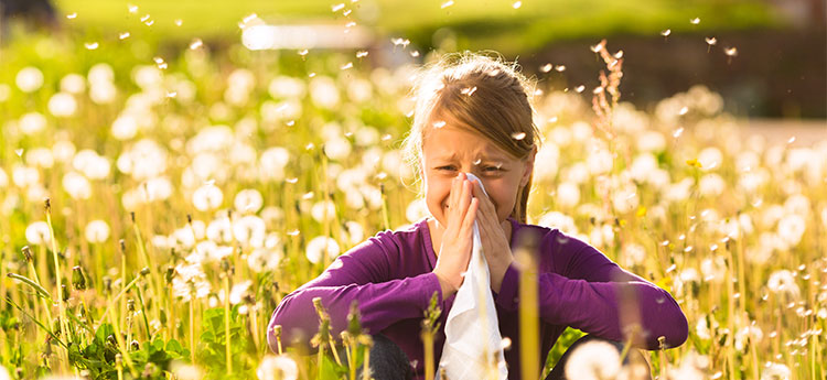 Allergie Stagionali: Sintomi, Rimedi Naturali e Consigli per Prevenirle