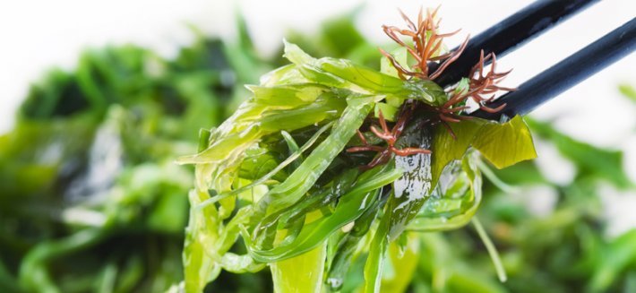 Alghe: Proprietà nutritive e benefici per la salute