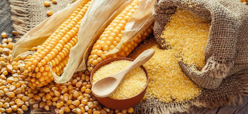 Le proprietà del mais: il cereale più coltivato al mondo