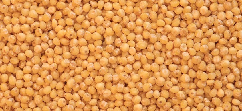 Le preziose proprietà del miglio: un cereale sottovalutato