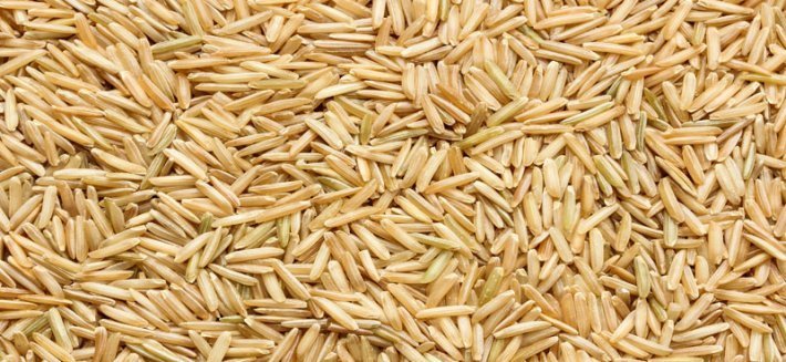 Il riso Basmati: l'oro dei risi